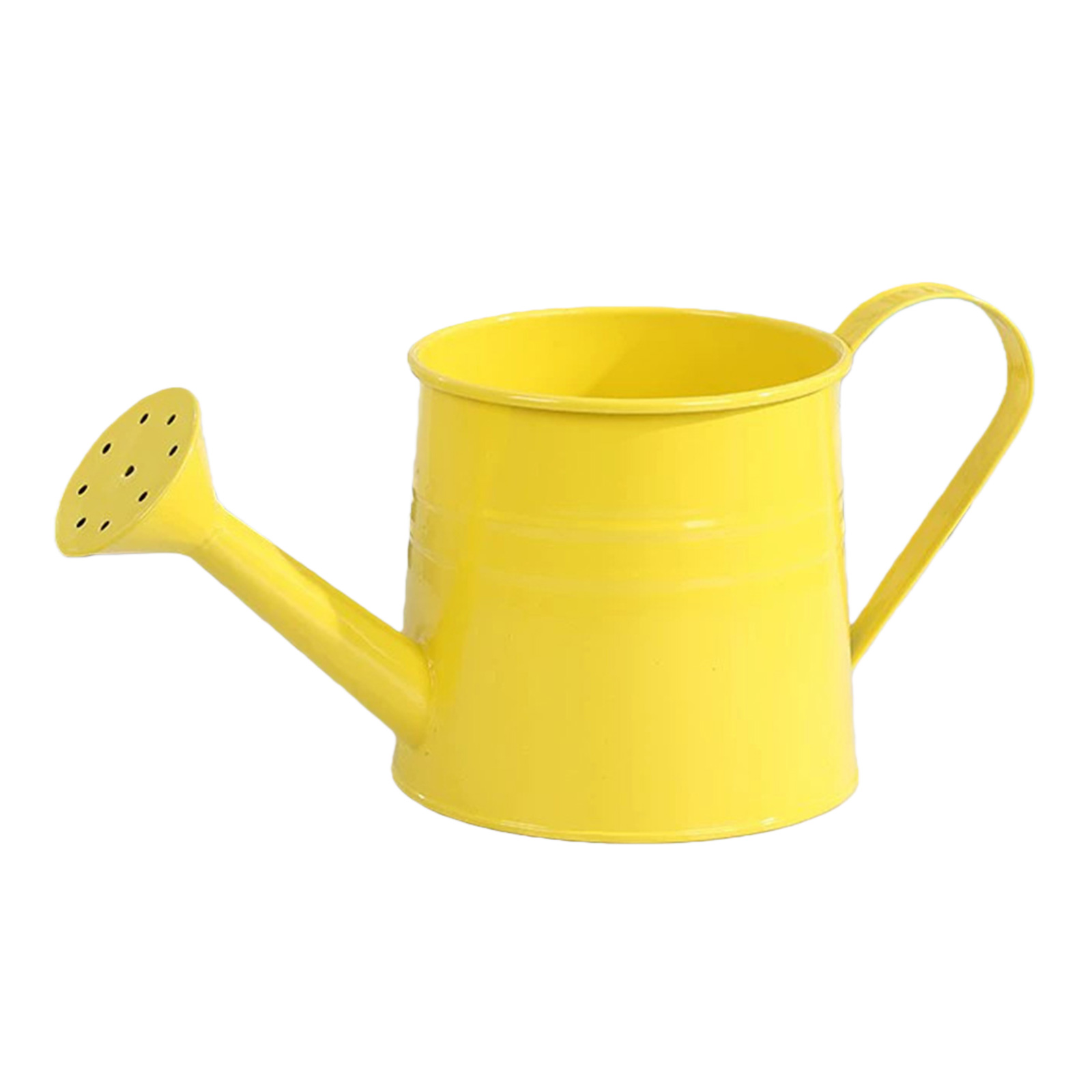 Flower Long Spout Water Can fo - Watering Can Long Spout 评论和价格