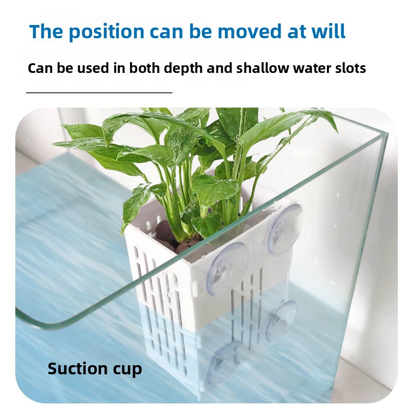 1PC Wall Mounted Hydroponics P - Hanging Planter Basket 评论和价格