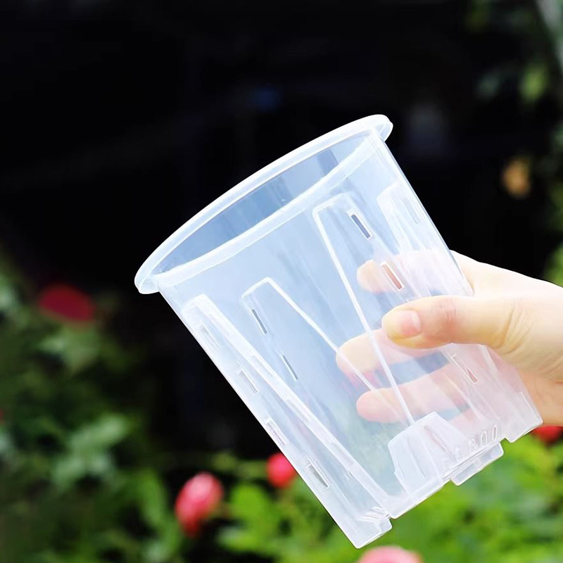 12cm for orchid Plant grow  Po - Orchid Potting Mix 评论和价格