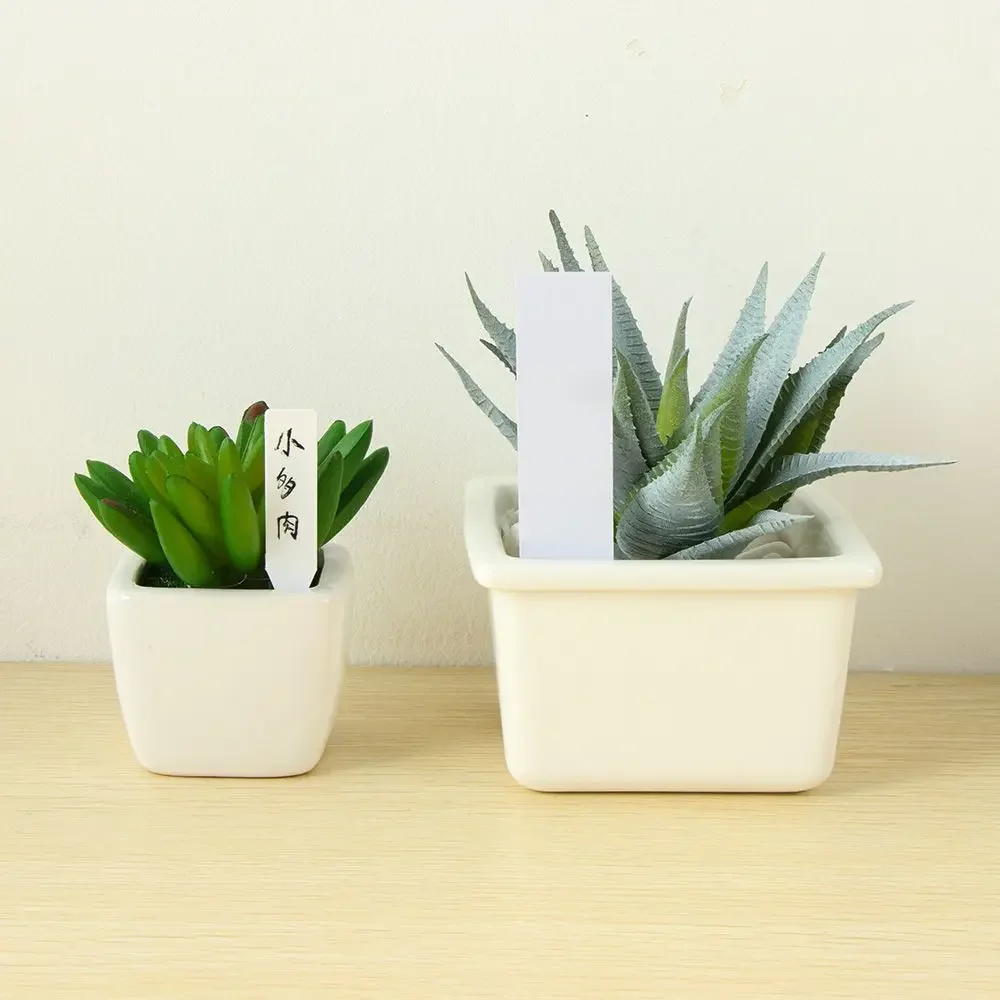 100Pcs Reusable Classification - Garden Label Marker 评论和价格