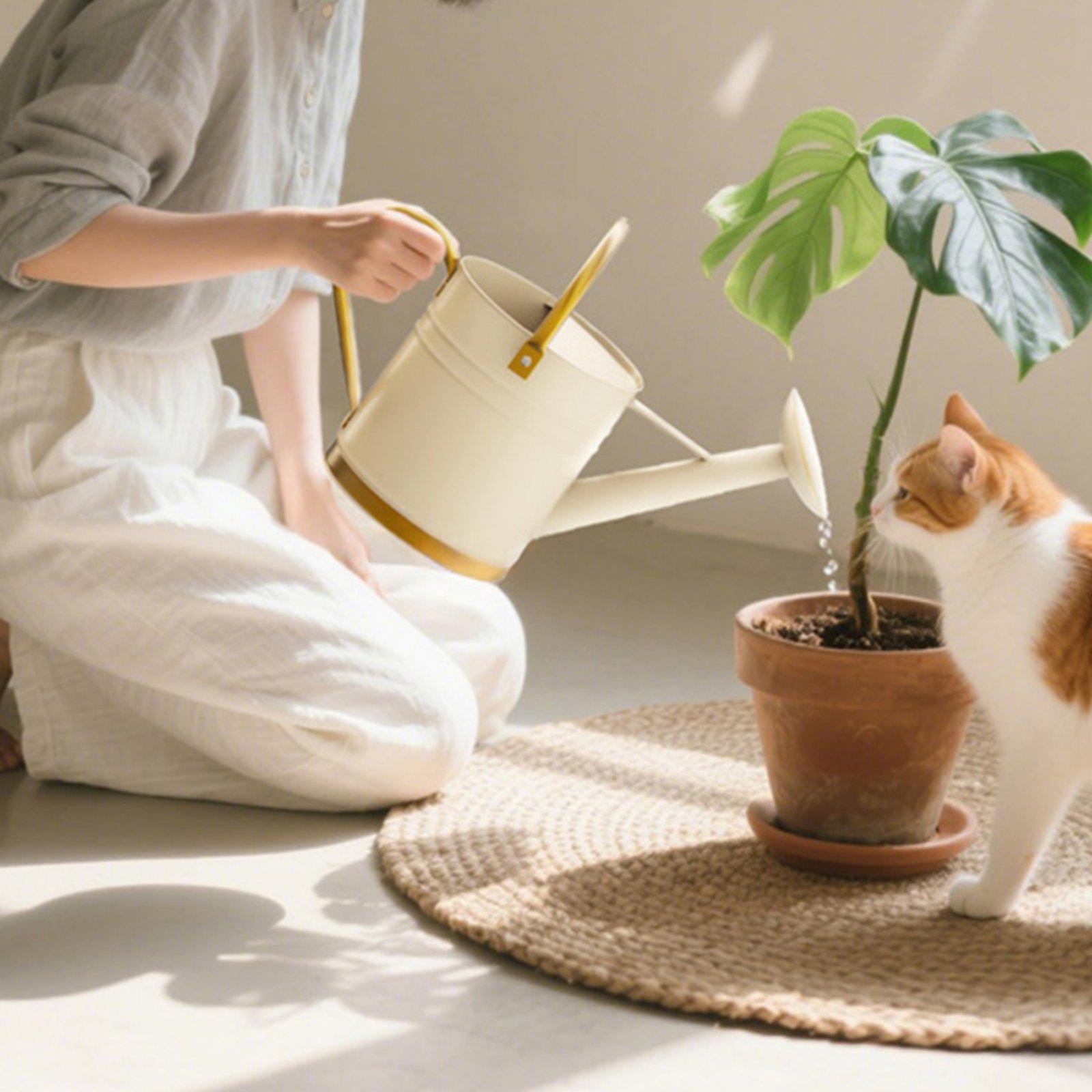 Long Spout Watering Can Leak-P - Watering Can Long Spout 评论和价格