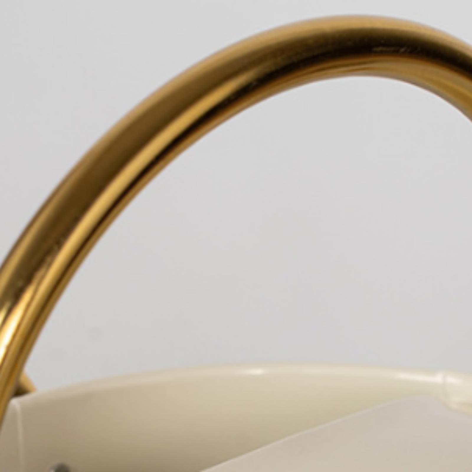 Long Spout Watering Can Leak-P - Watering Can Long Spout 评论和价格