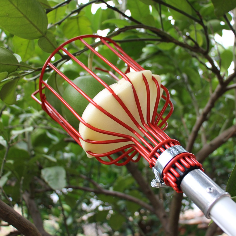 Metal/Plastic Fruit Picker Hea - Gardening Tools Hand 评论和价格