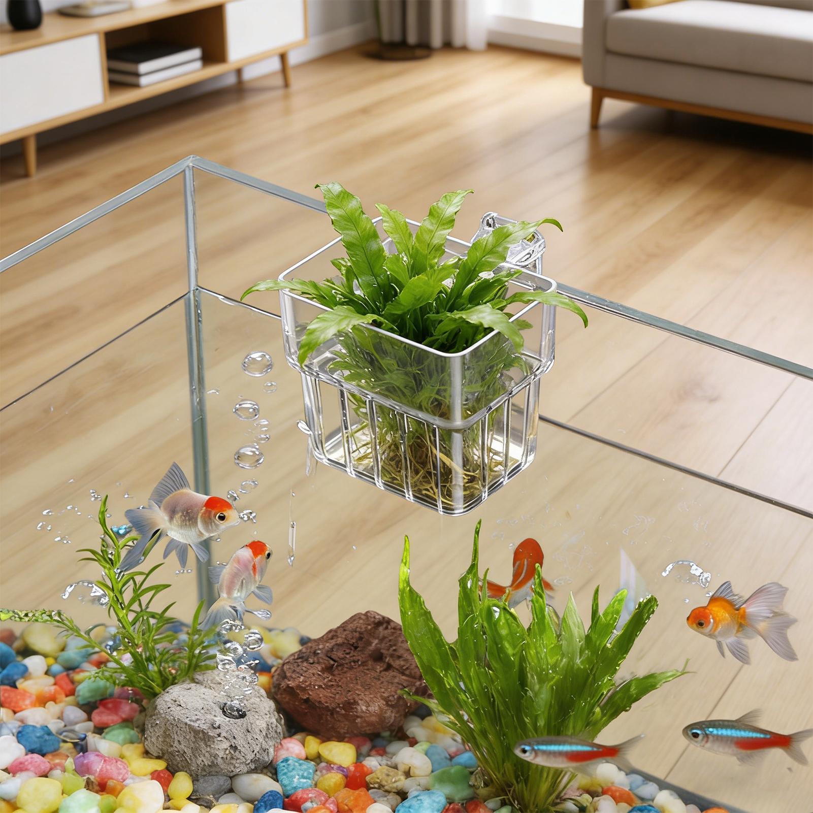 Aquarium Plant Basket Transpar - Hanging Planter Basket 评论和价格