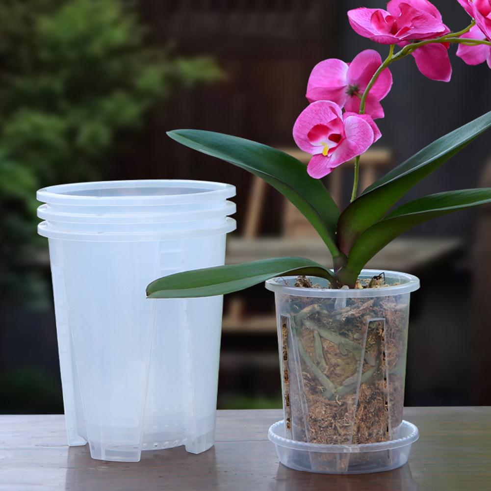 5PCS/Kit Clear Plastic Orchid  - Orchid Potting Mix 评论和价格