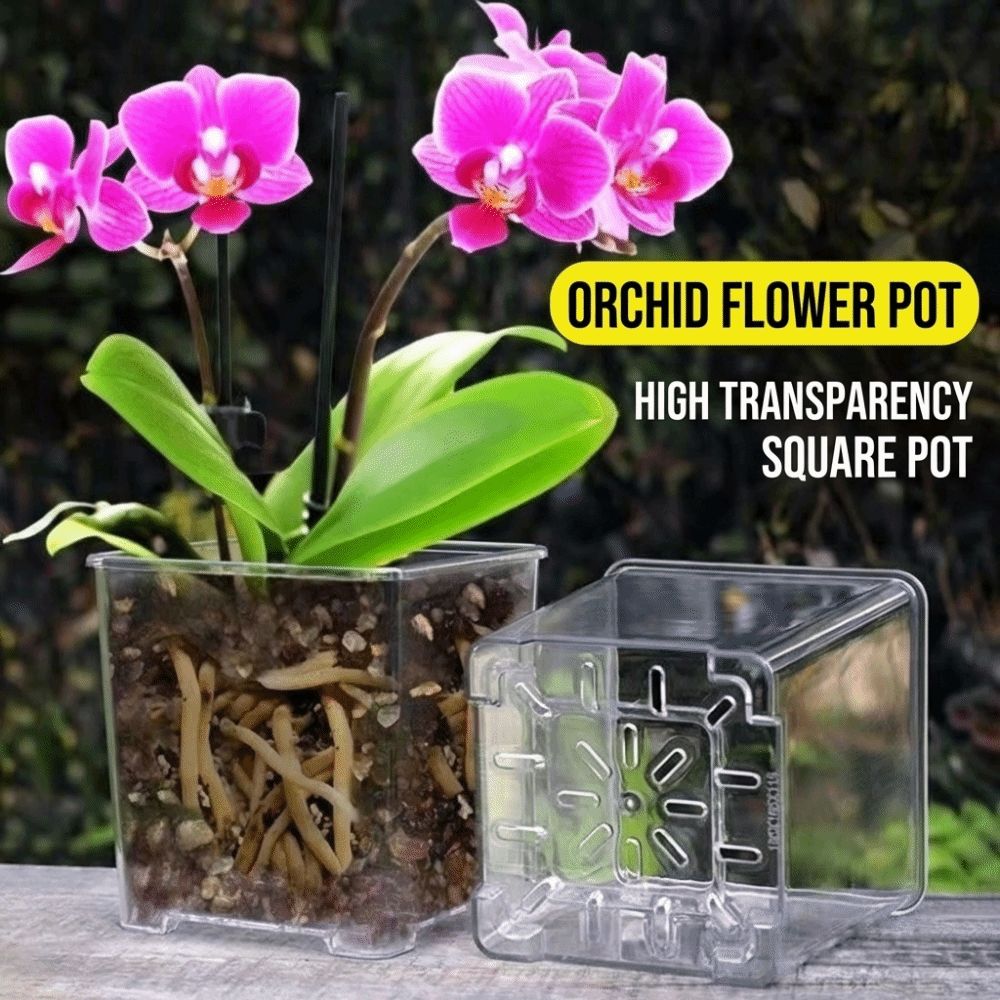 5PCS/Kit Clear Plastic Orchid  - Orchid Potting Mix 评论和价格