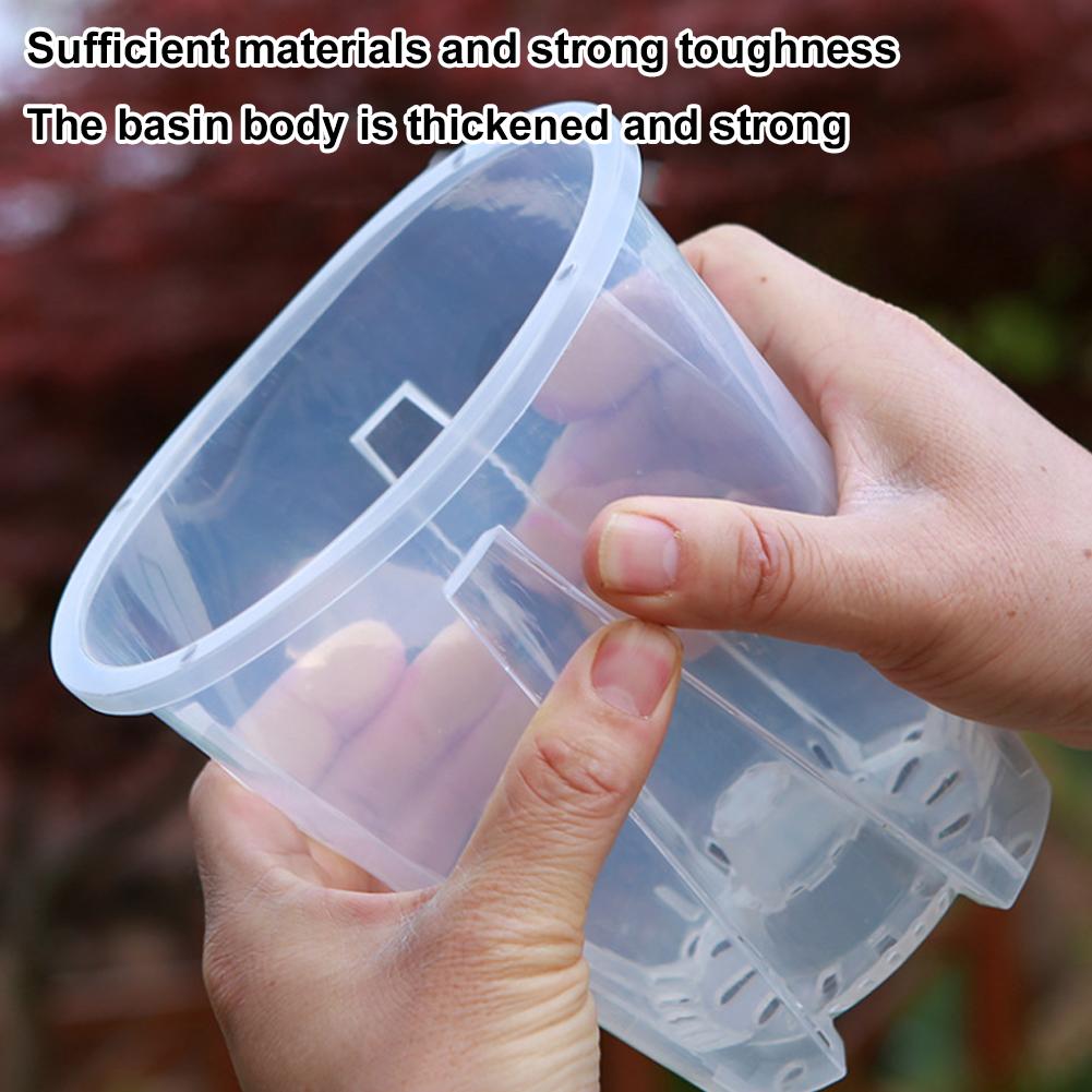 5PCS/Kit Clear Plastic Orchid  - Orchid Potting Mix 评论和价格