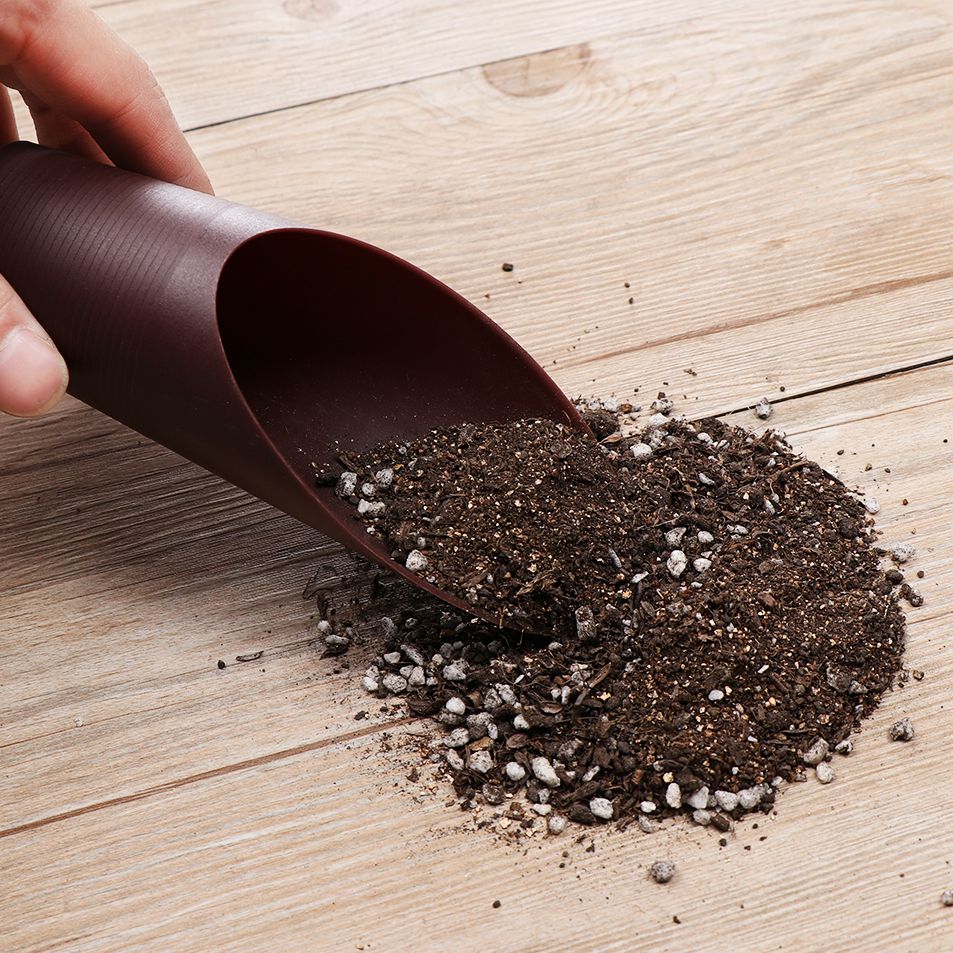 1PC Plastic Soil Shovel Cup Fo - Gardening Tools Hand 评论和价格