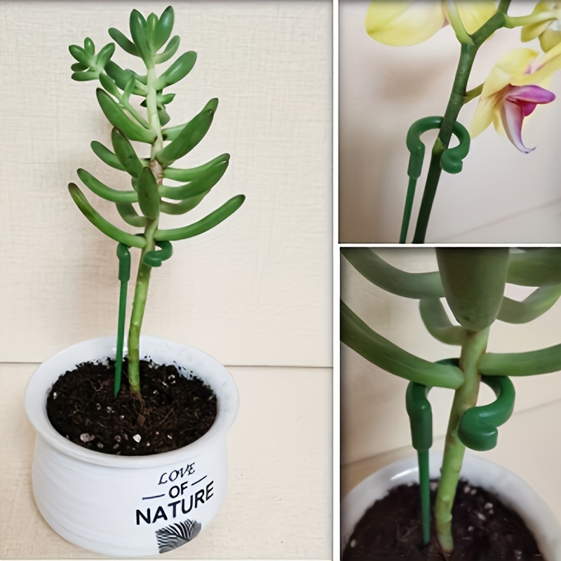 6Pcs Green Plastic Plant Suppo - Orchid Potting Mix 评论和价格