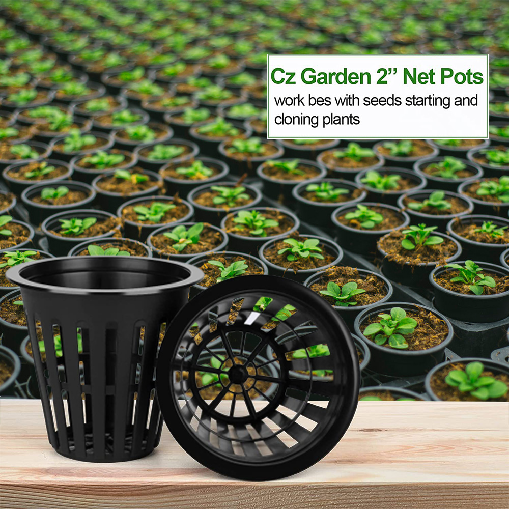2inch Garden Nursery Pots Plan - Orchid Potting Mix 评论和价格