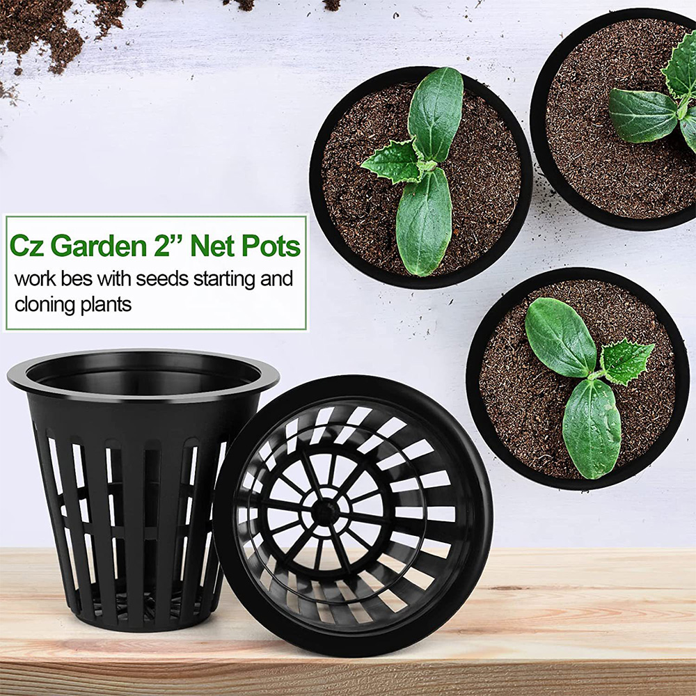 2inch Garden Nursery Pots Plan - Orchid Potting Mix 评论和价格